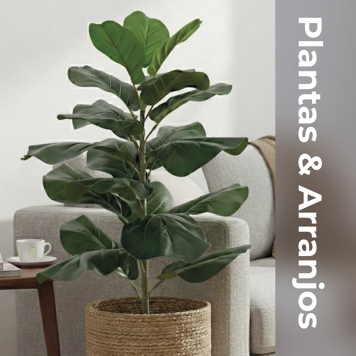 Plantas e Arranjos