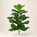 Ficus Lyrata Artificial 70 cm com 25 Folhas - Plantas Artificiais - Decolab - foto principal